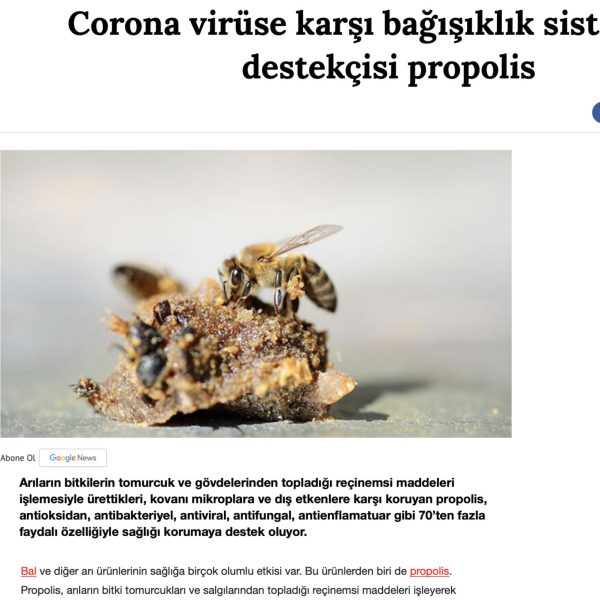 Gazete1