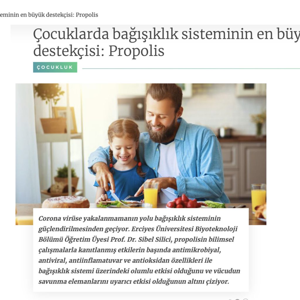 Gazete2