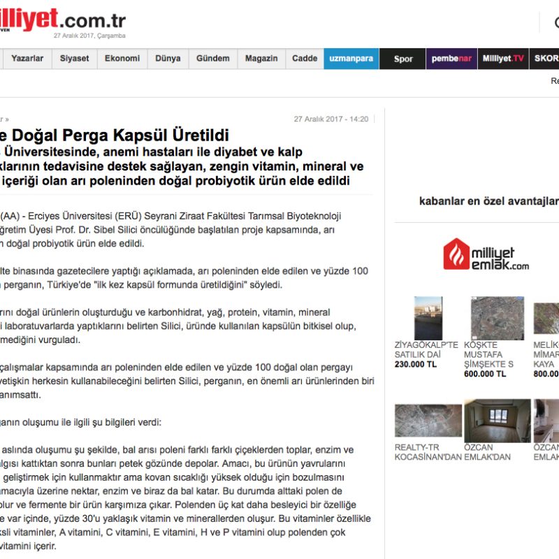 Milliyet