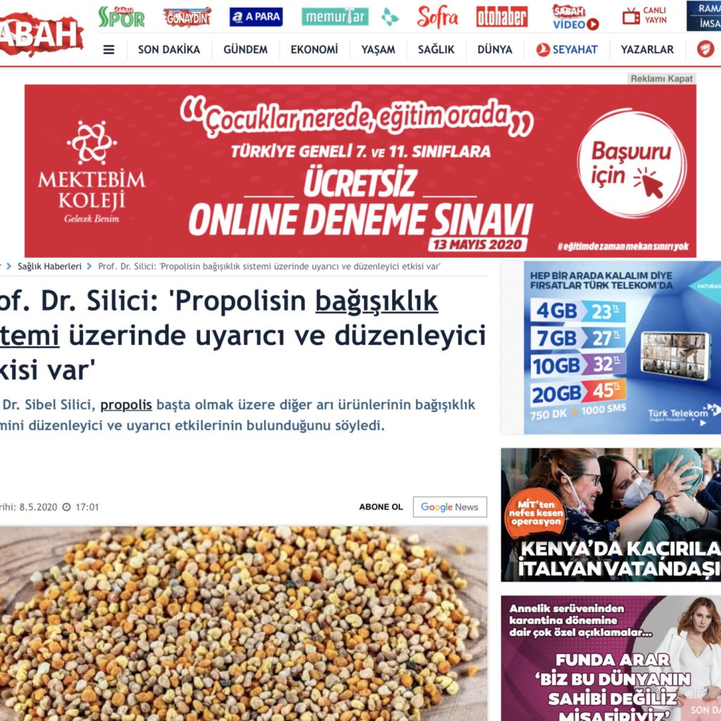 Sabah-Propolis